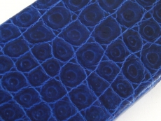 ipcase5-croco-ib