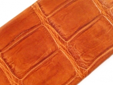 ipcase5-croco-ta