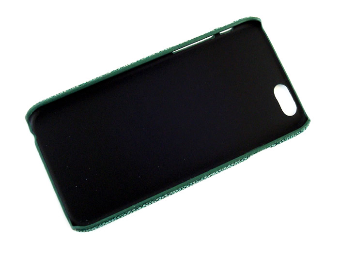 ipcase6-sray-gr