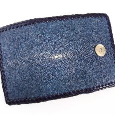 keycase-sray-bl1
